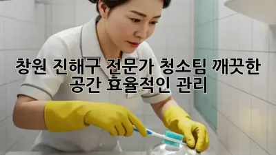 창원 진해구 전문가 청소팀: 깨끗한 공간, 효율적인 관리