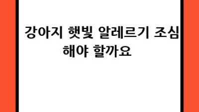 🐶 댕댕이와 🌊 시원한 여름나기: 건강한 강아지물놀이 꿀팁!