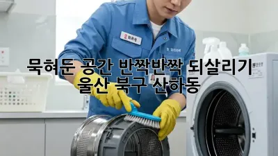 묵혀둔 공간, ✨반짝반짝✨ 되살리기! (울산 북구 산하동)